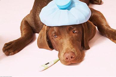 《怪物猎人》10分钟世界观介绍视频 中文字幕